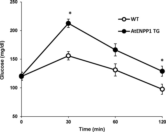 FIG. 5.