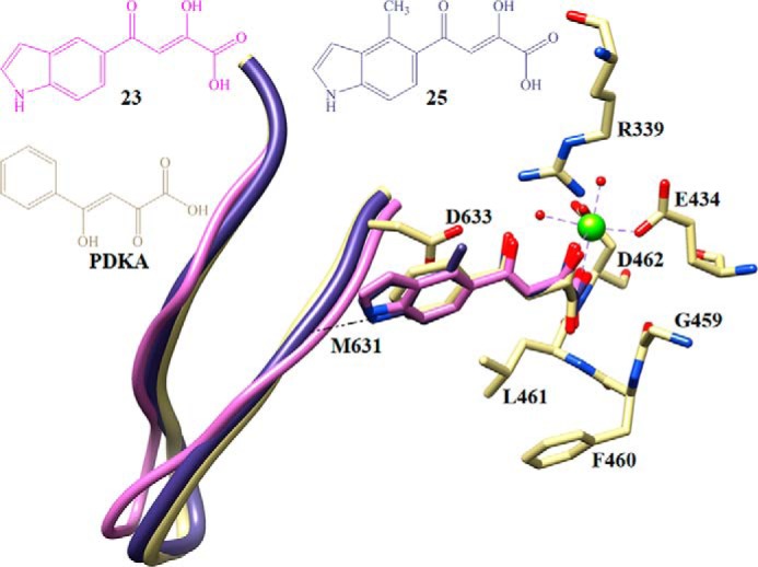 FIGURE 4.