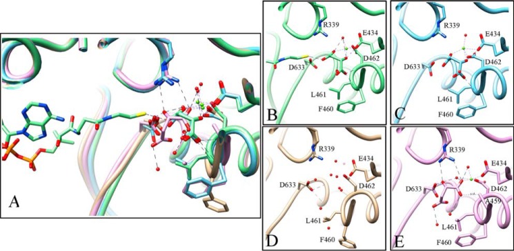 FIGURE 5.