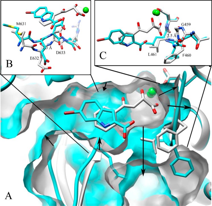 FIGURE 2.