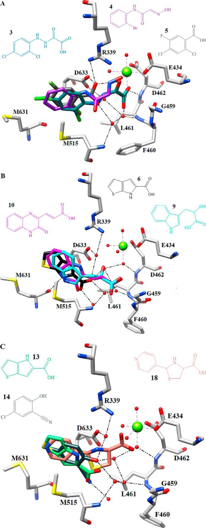 FIGURE 3.