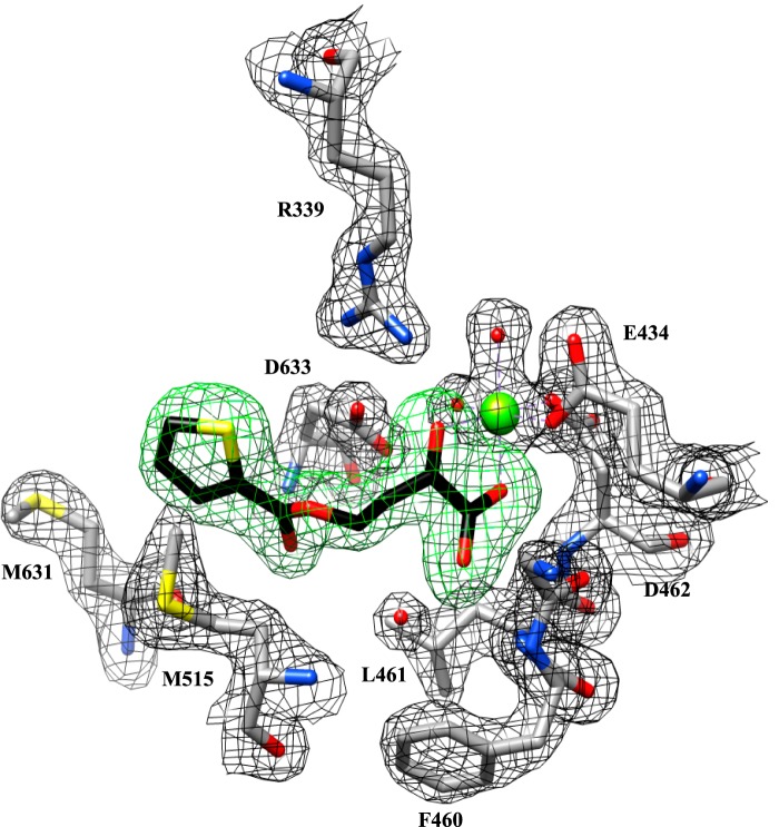 FIGURE 1.