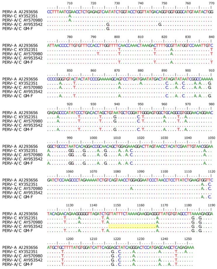 Figure 9