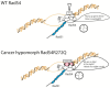 Graphical Abstract
