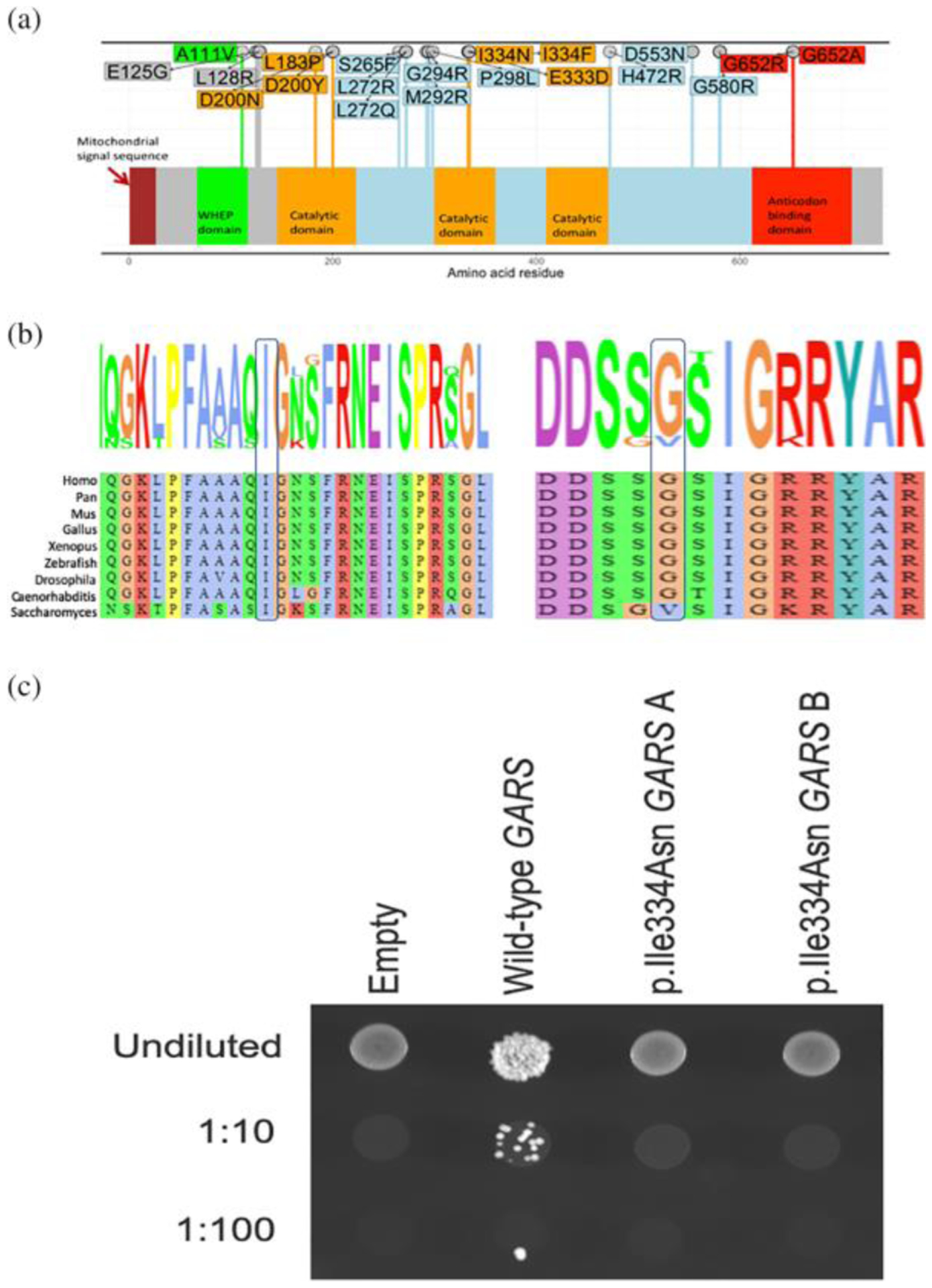 FIGURE 2