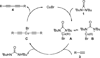 Scheme 2