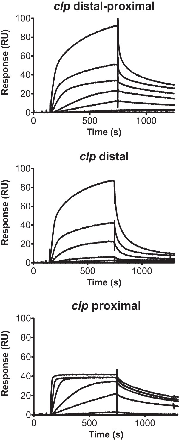 FIG 2