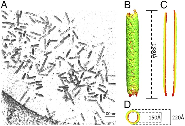 Fig. 4.