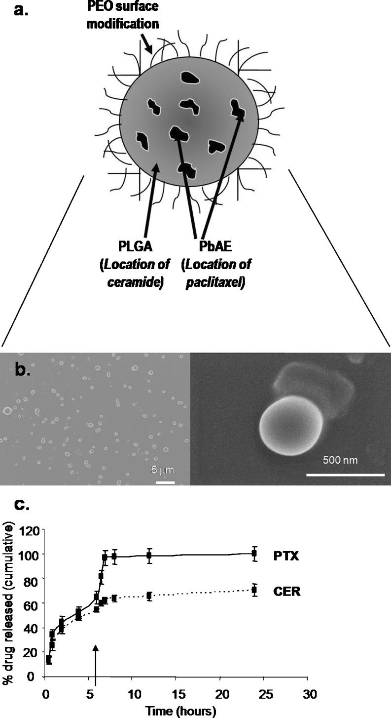 Fig. 2