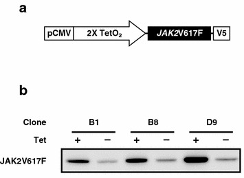 Fig. 1