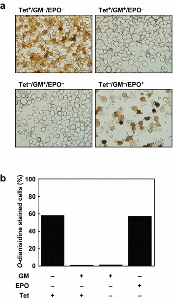 Fig. 3