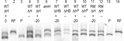 FIG. 3.