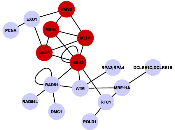 Figure 7