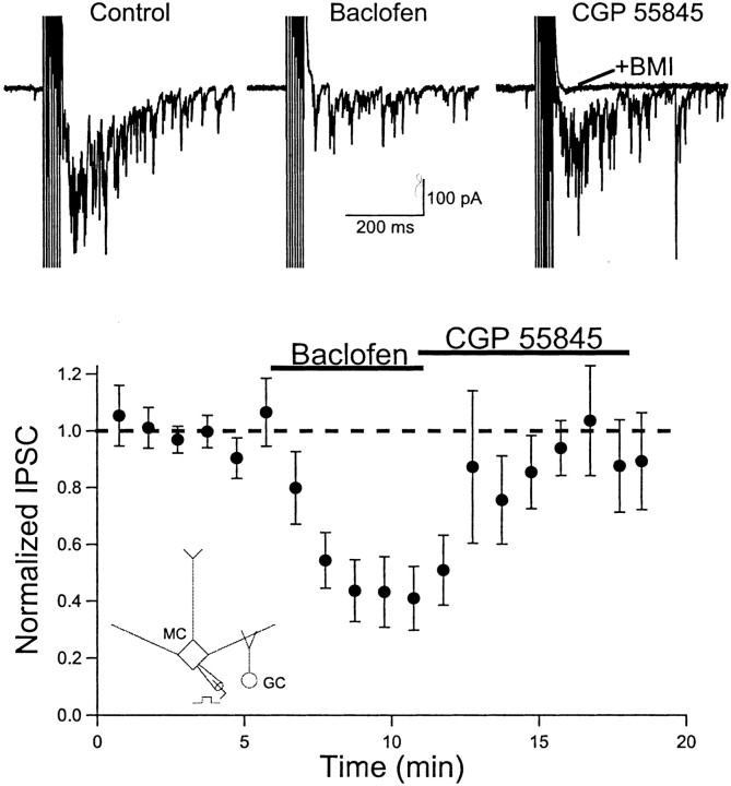 Fig. 1.