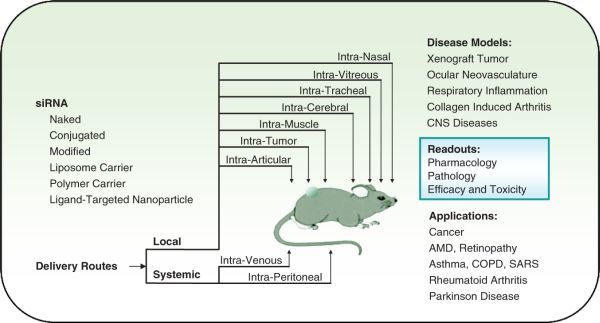 Fig. 3.3