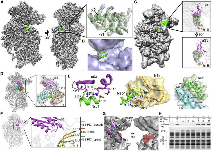 Figure 4