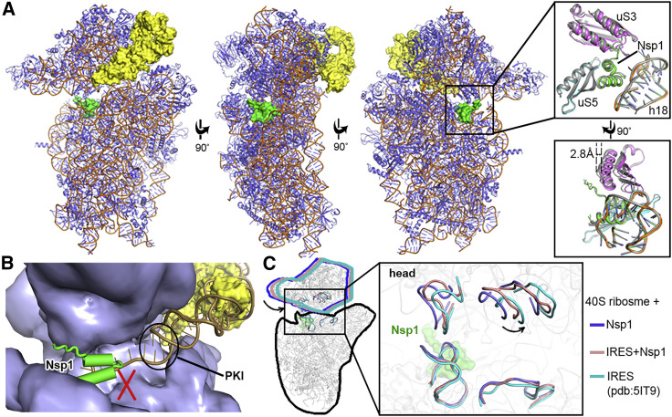 Figure 5