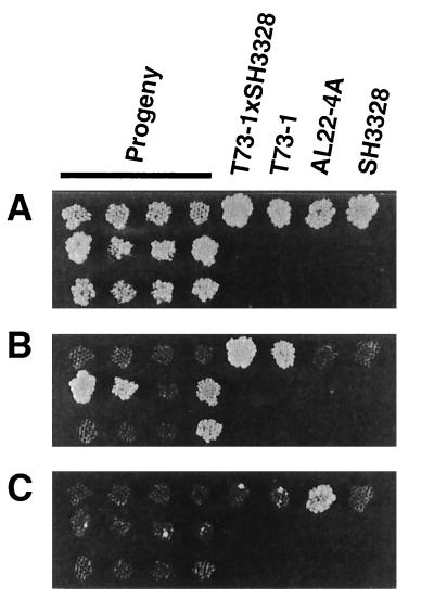 FIG. 5