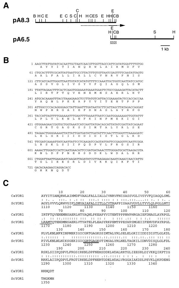 FIG. 6