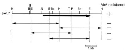 FIG. 1