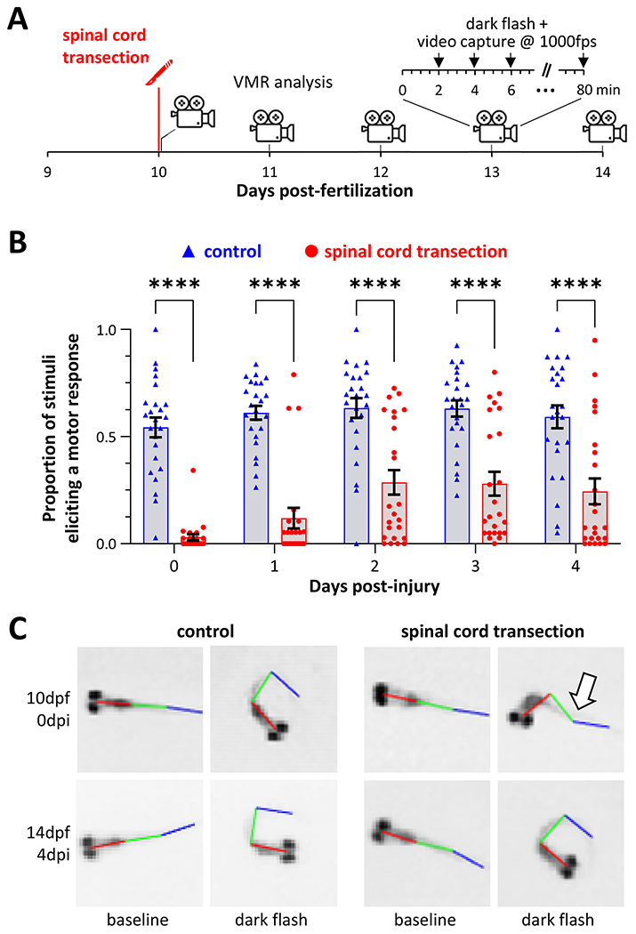 Figure 4: