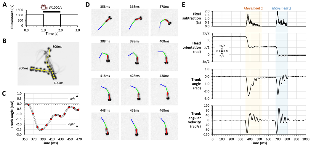 Figure 2: