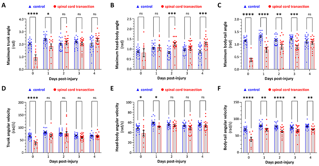 Figure 5: