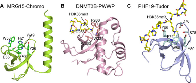 Fig. 1