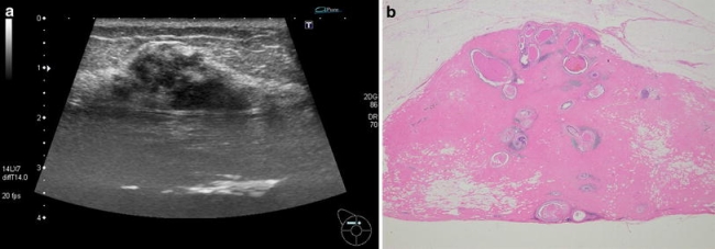 Fig. 3