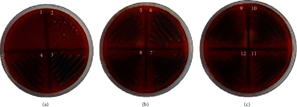 Figure 5