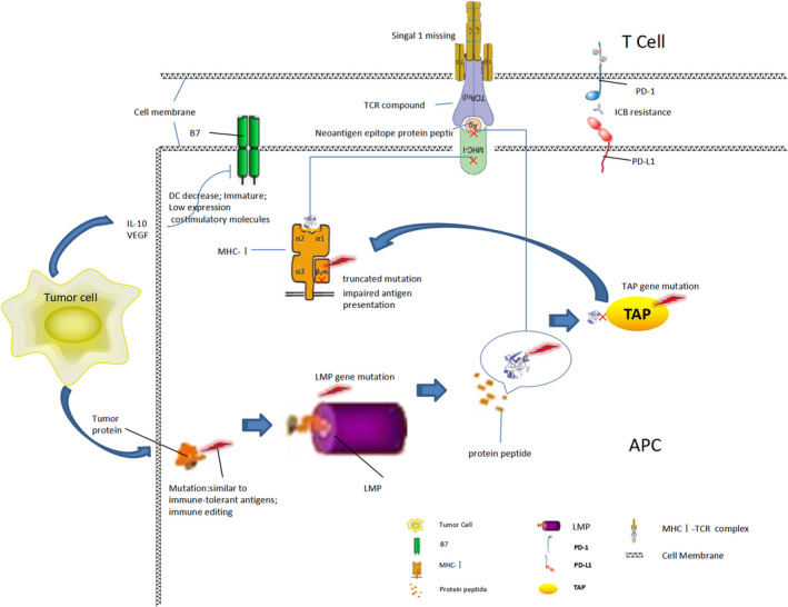 FIGURE 2