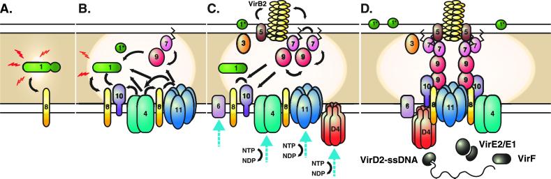 Fig 4.