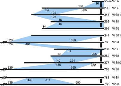 Fig 3.