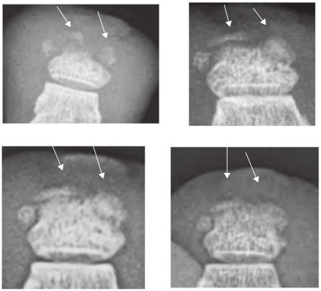 Fig. 5