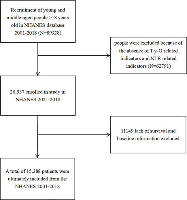 Figure 1