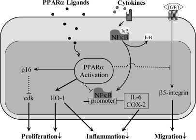 FIG. 10.