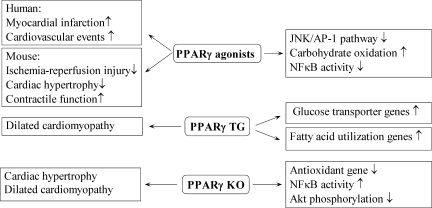 FIG. 8.