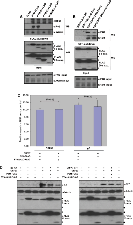 Figure 6a-d