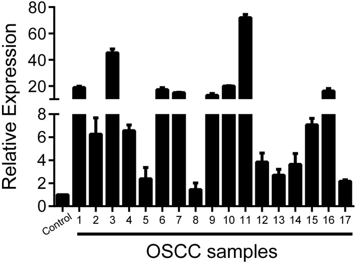 Fig 1