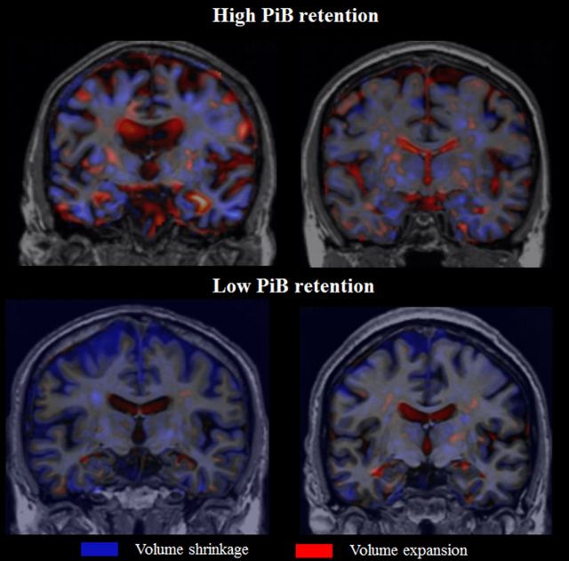 graphic file with name aww193fig1g.jpg