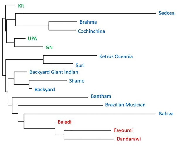 FIGURE 3