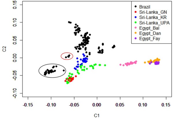 FIGURE 1