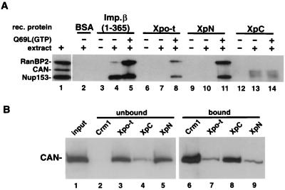 FIG. 7.