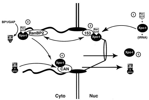 FIG. 8.