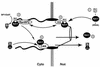 FIG. 8.