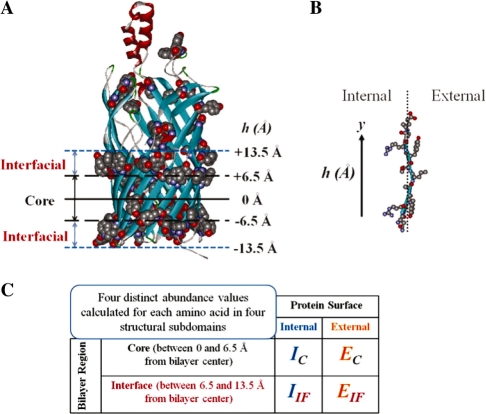 Fig. 1.