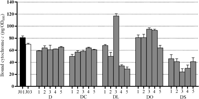 FIG 2