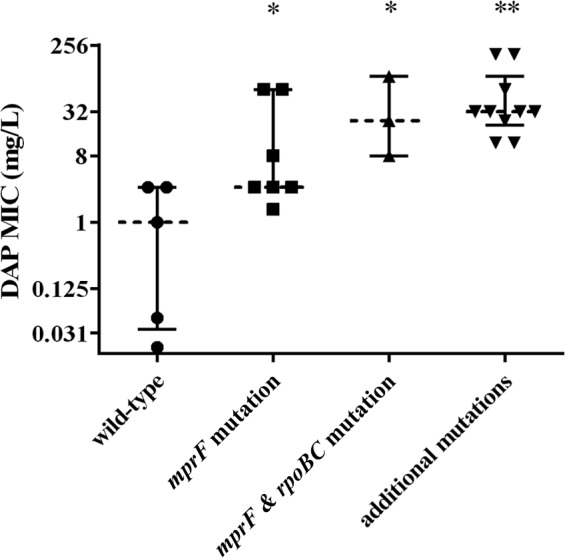 FIG 1