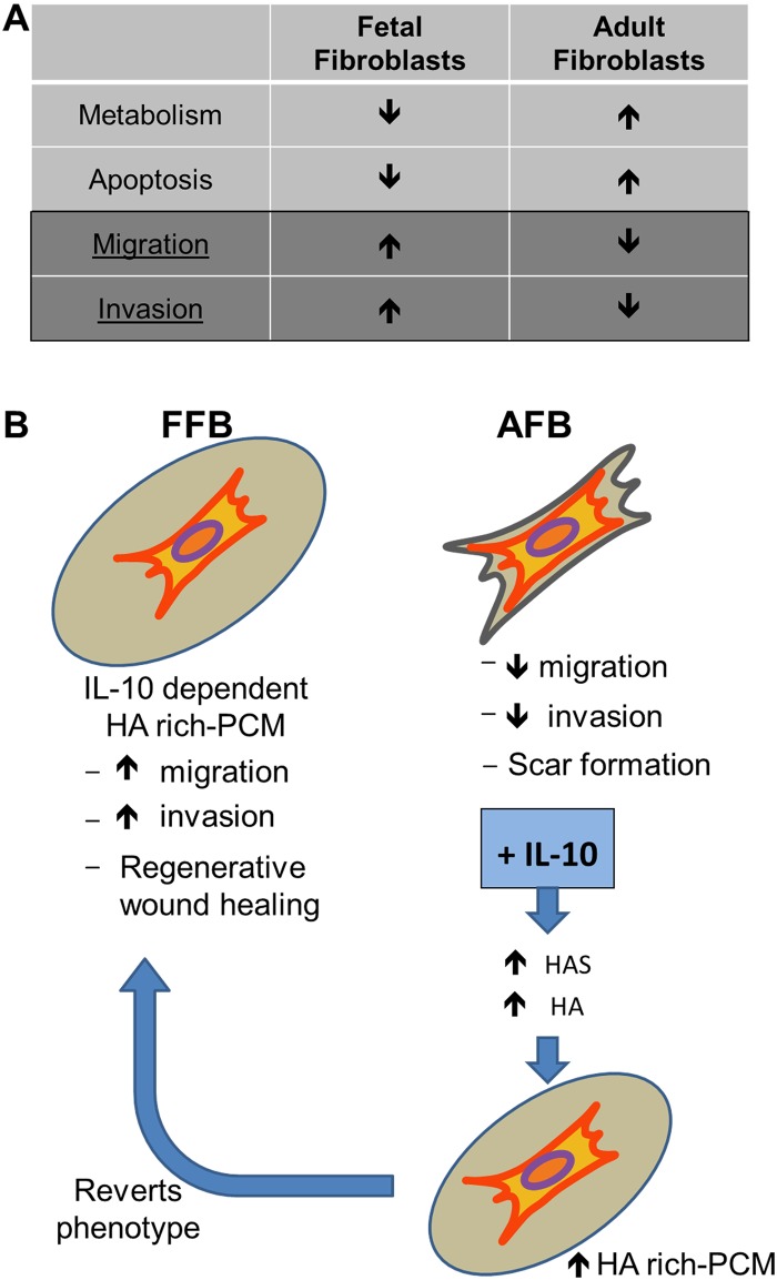 Fig 5