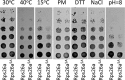 FIG 2